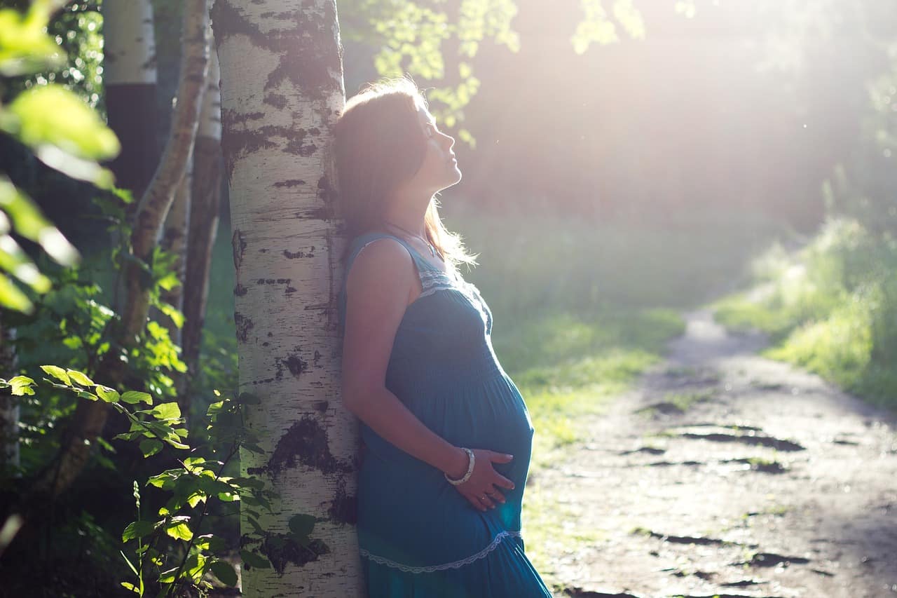 femme enceinte adossée à un arbre sous le solei