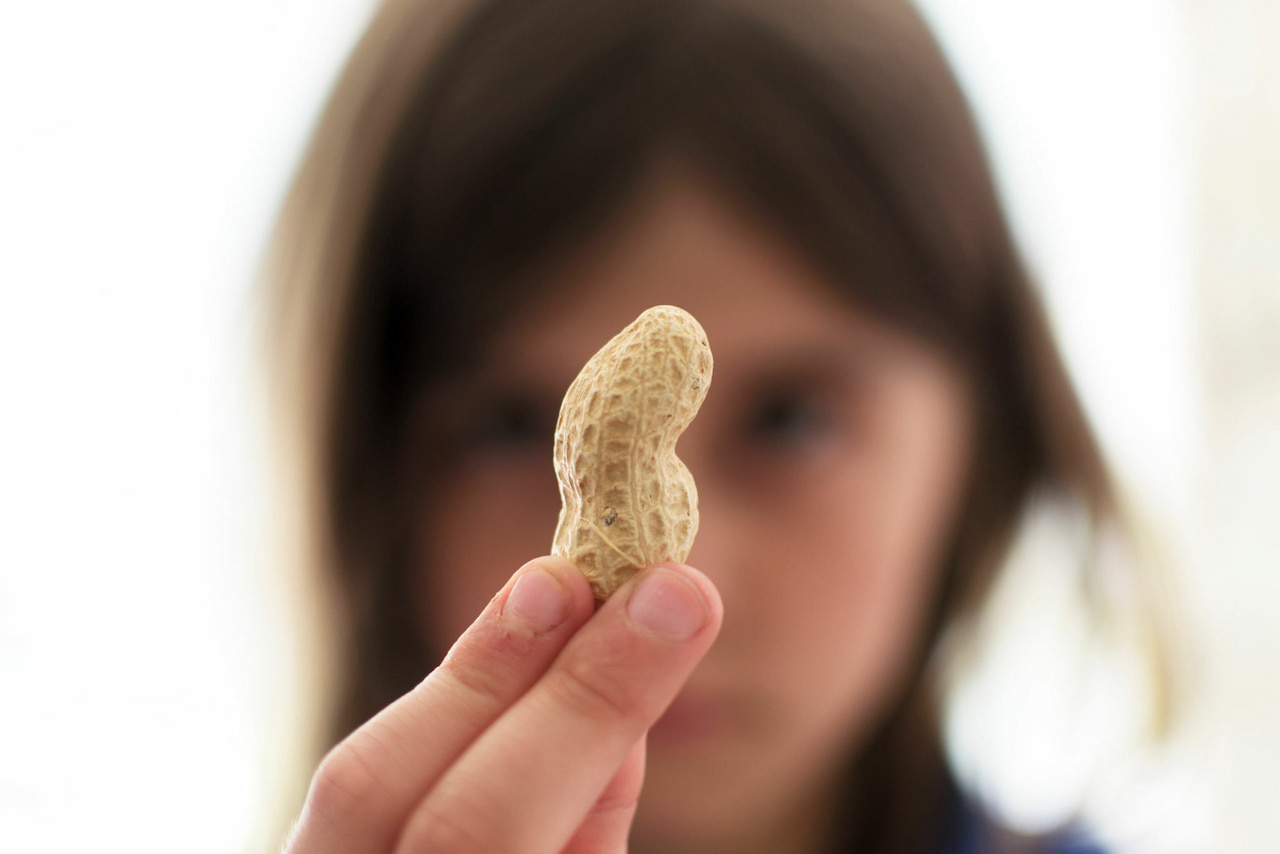 fille tenant une cacahuète à la main - allergies